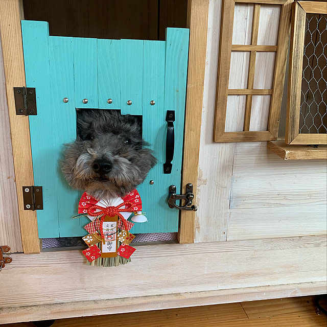 makoriさんの実例写真