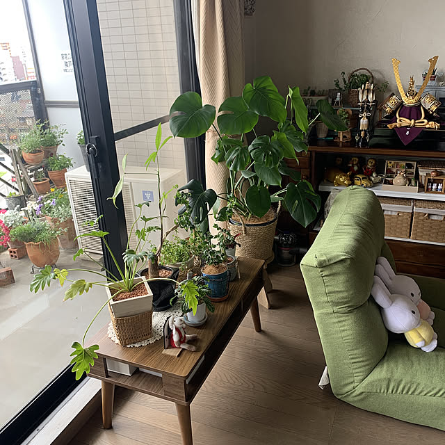 JUNさんの実例写真