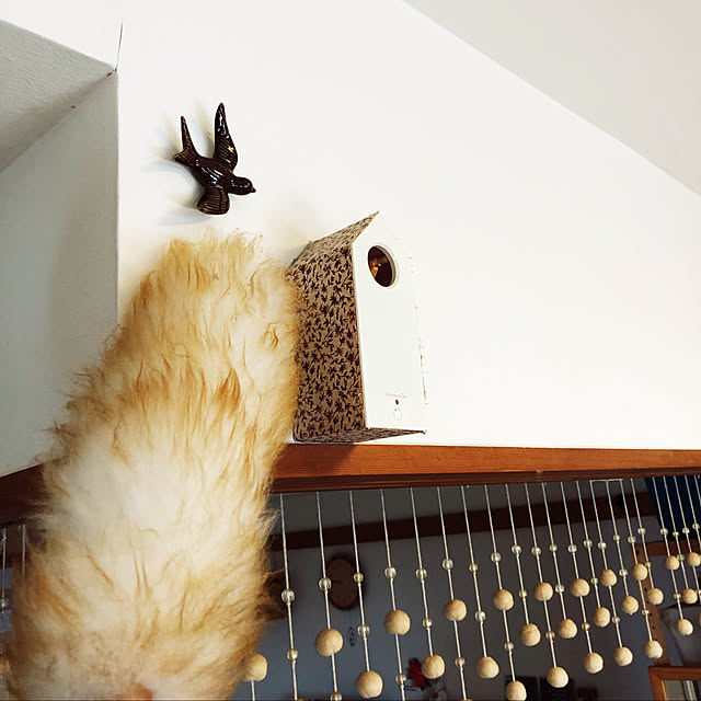 akiさんの実例写真