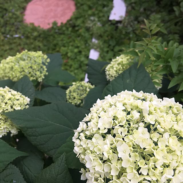 takaさんの実例写真
