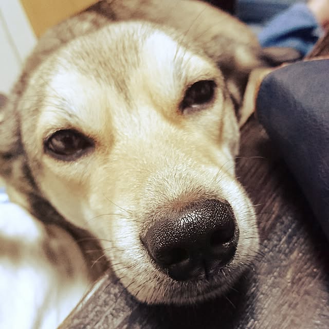 andさんの実例写真