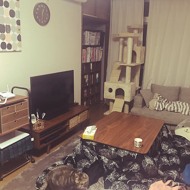 hacchiさんの実例写真
