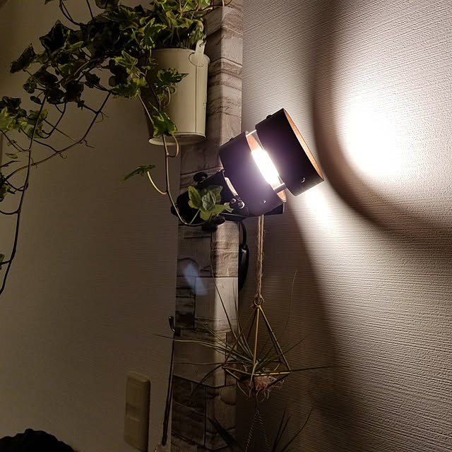 capo56isesさんの実例写真