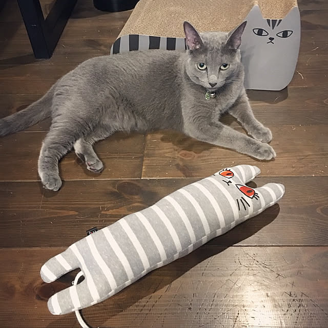 capelさんの実例写真