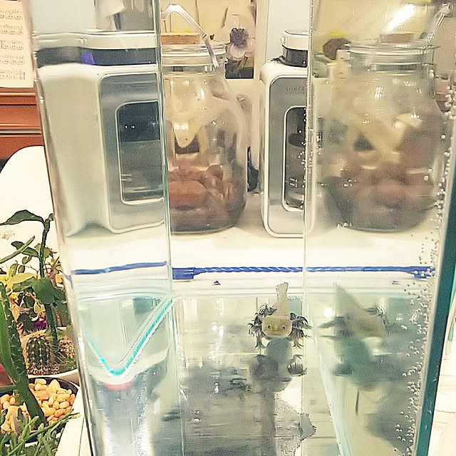 hiromimiさんの実例写真