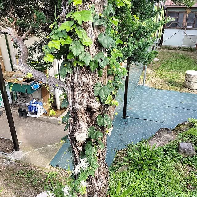 sumimarumiさんの部屋