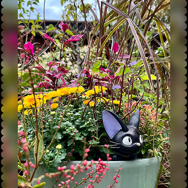 cotaさんの実例写真
