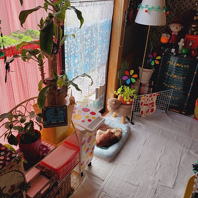 kumutanさんの部屋