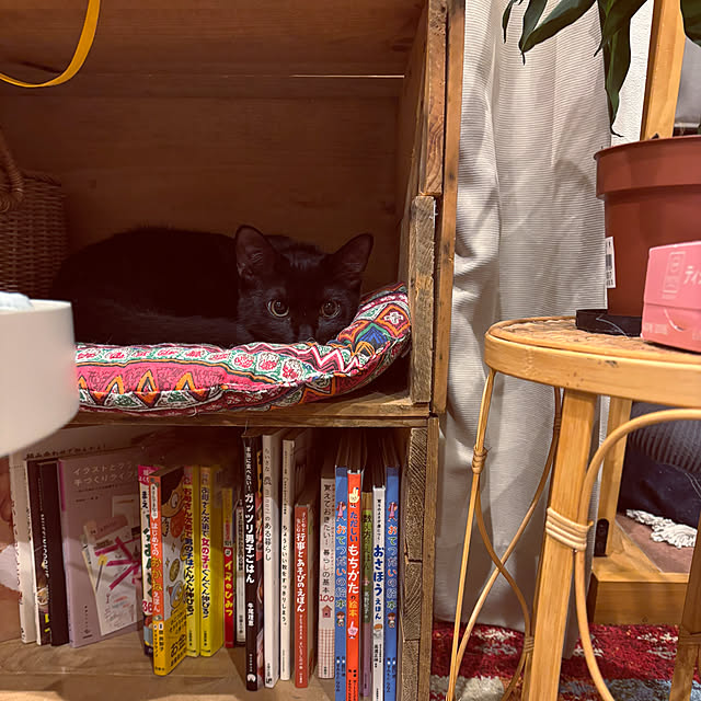 niko.mamさんの実例写真