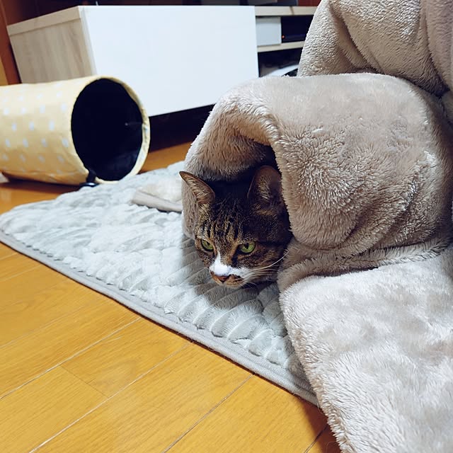 nachiさんの部屋