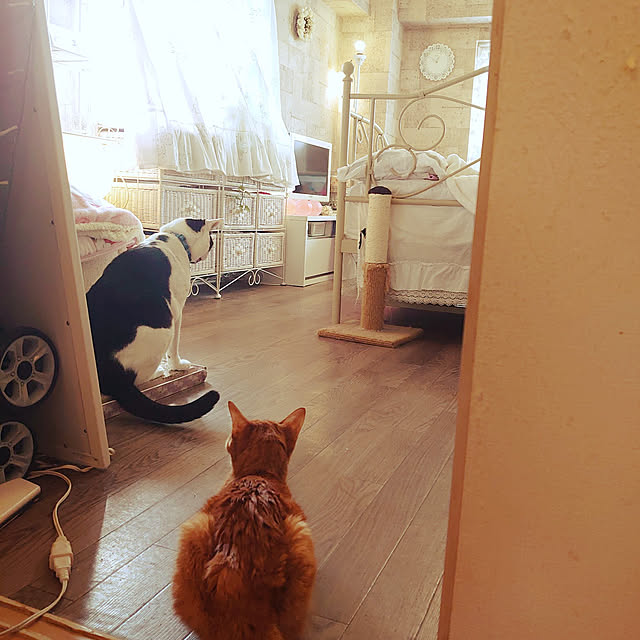 asuminさんの実例写真