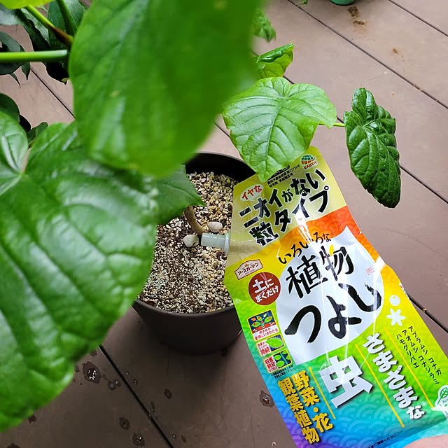 mimi828さんの部屋