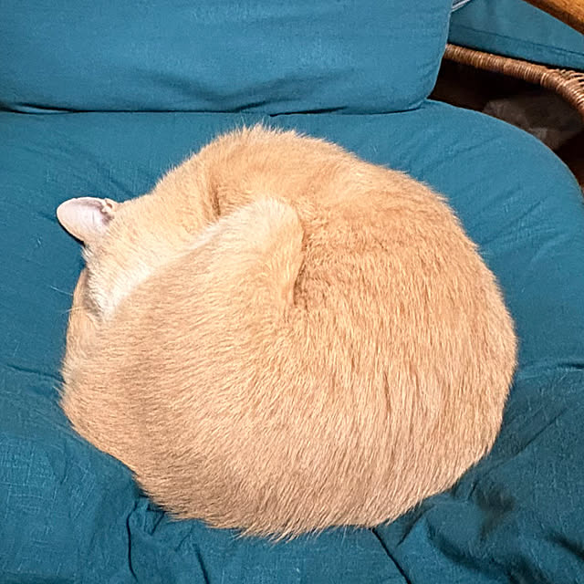 mikan161さんの部屋