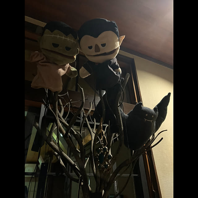 rasutarouさんの実例写真