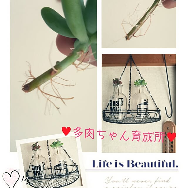 yuimama74さんの実例写真