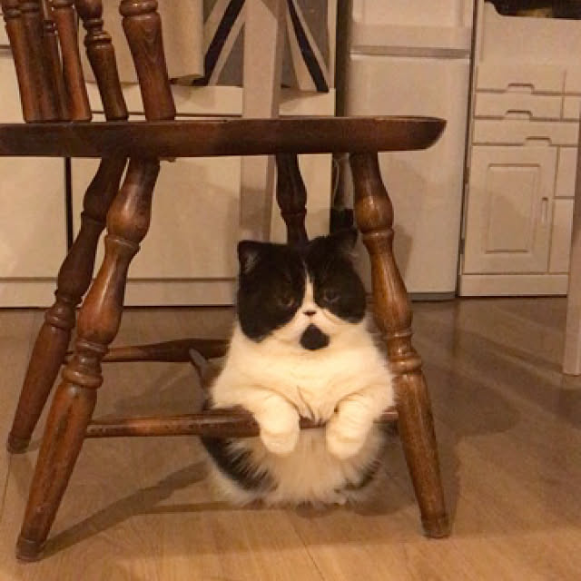 机のインテリア実例 - 2019-10-16 14:27:25