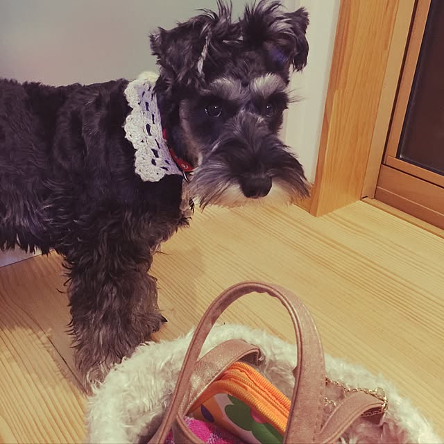 Arutanさんの実例写真