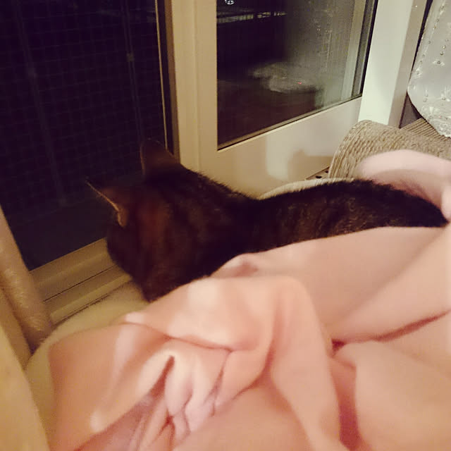 lilyさんの実例写真