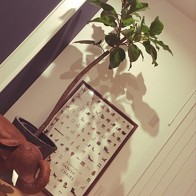 tk_ouchiさんの実例写真