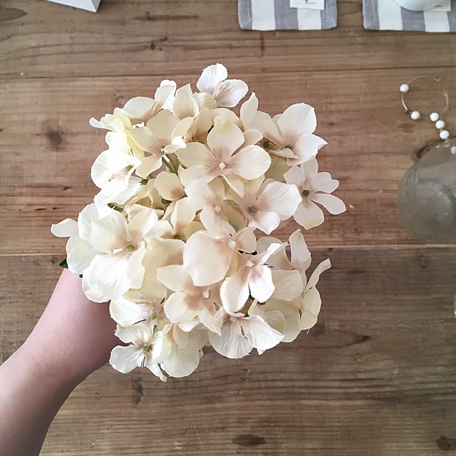 littlesnowさんの実例写真