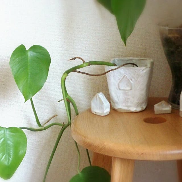 YUさんの実例写真