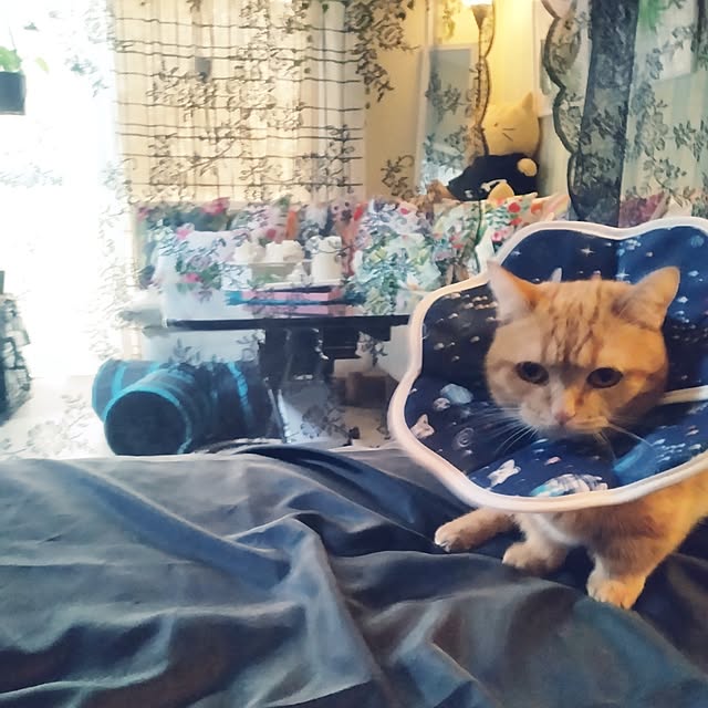 runaさんの部屋