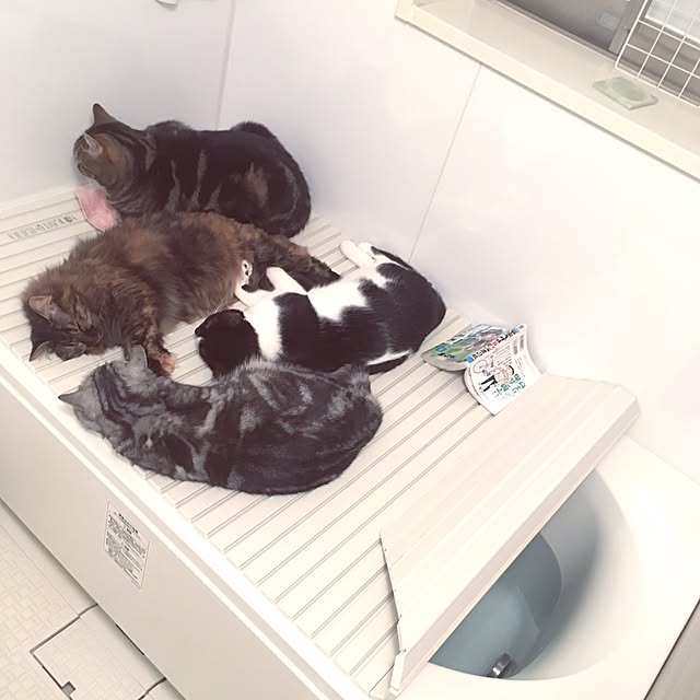 mikomaruさんの実例写真
