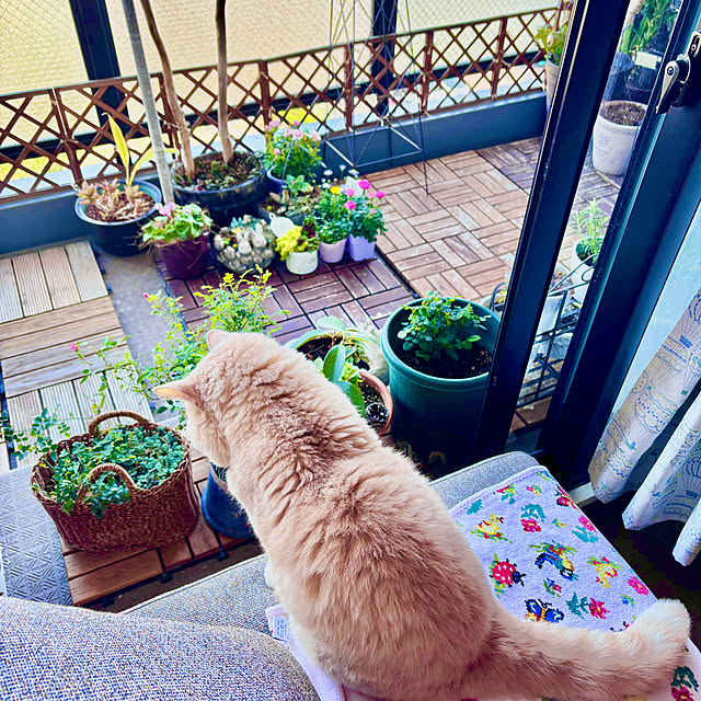 naokoさんの部屋