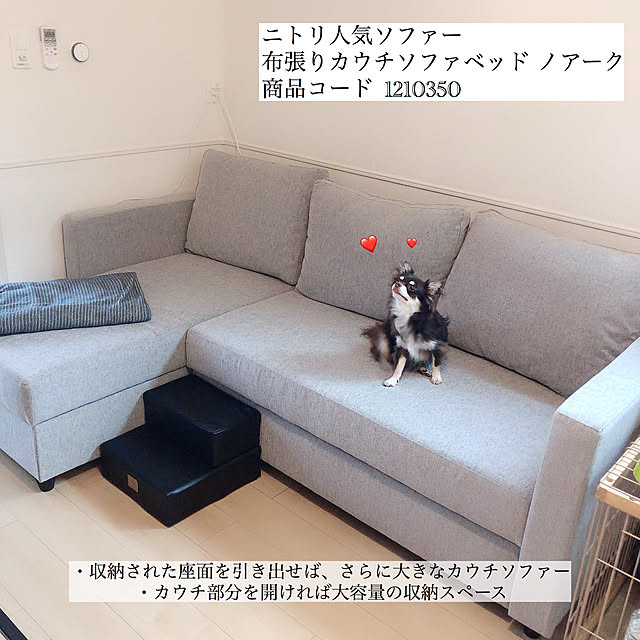 ニトリソファーベッドのおすすめ商品とおしゃれな実例 ニトリソファーベッドのおすすめ商品とおしゃれな実例