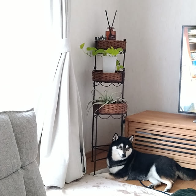 Yuzuさんの実例写真