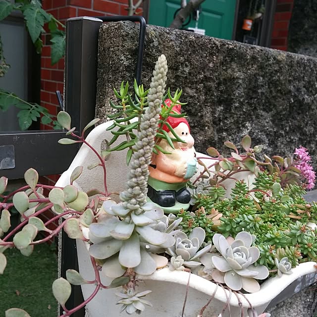 Mikiさんの実例写真