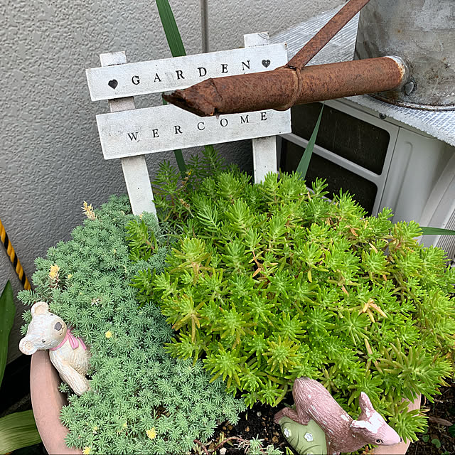 Fumiさんの実例写真