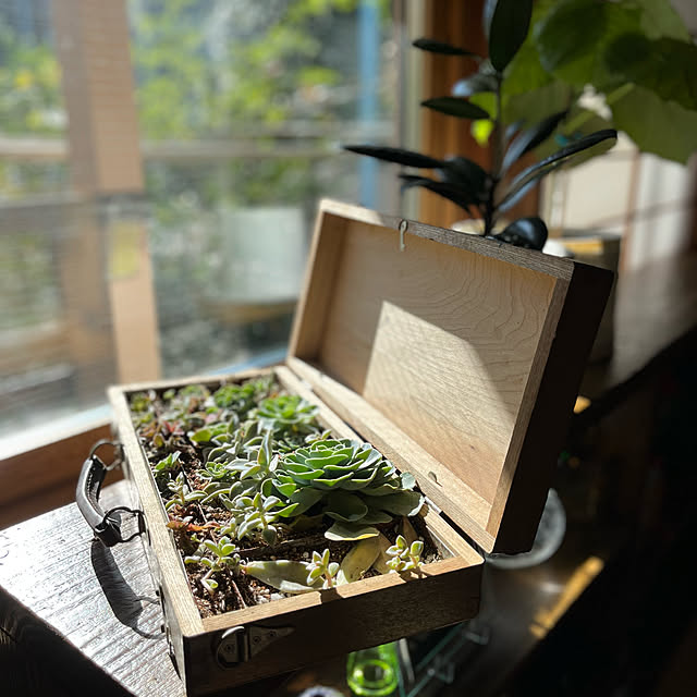 botanさんの実例写真