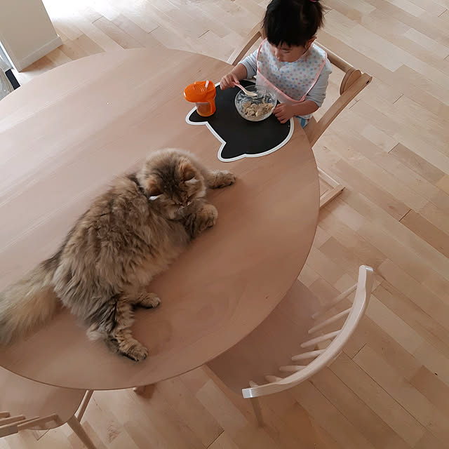 nanoさんの実例写真