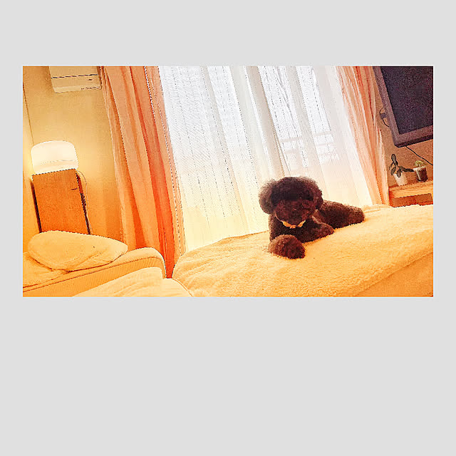 eripuputangootanさんの実例写真