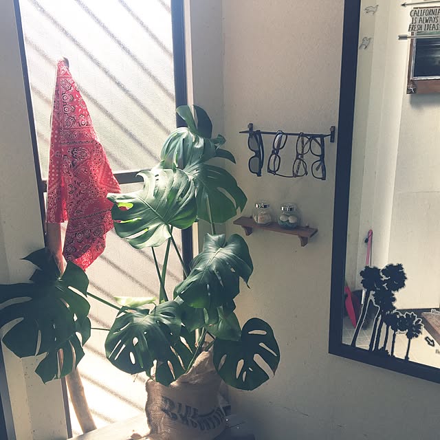 taarijuka06さんの実例写真