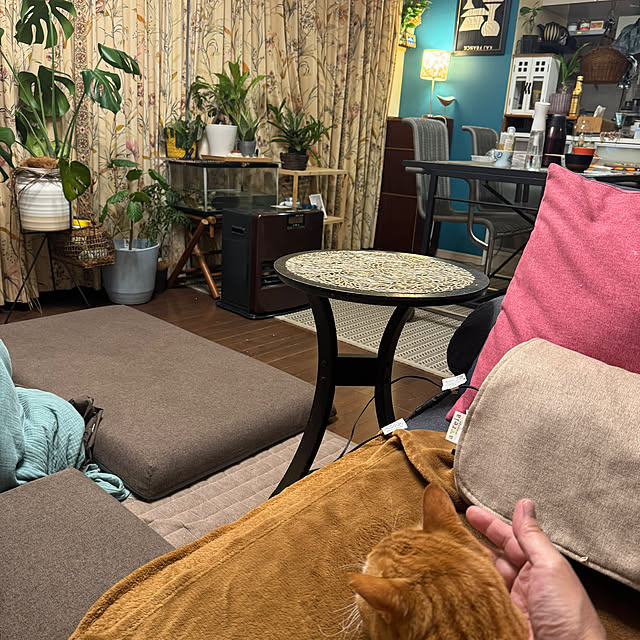 okyosan101さんの実例写真