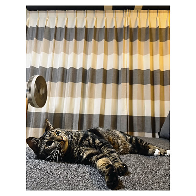 BTGさんの実例写真
