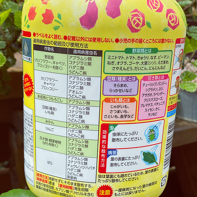 mintteaさんの実例写真