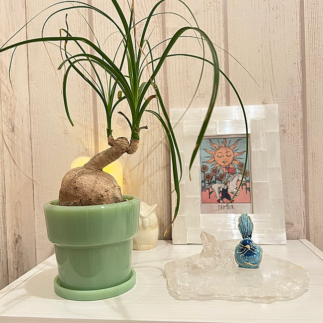 MICHAELさんの部屋