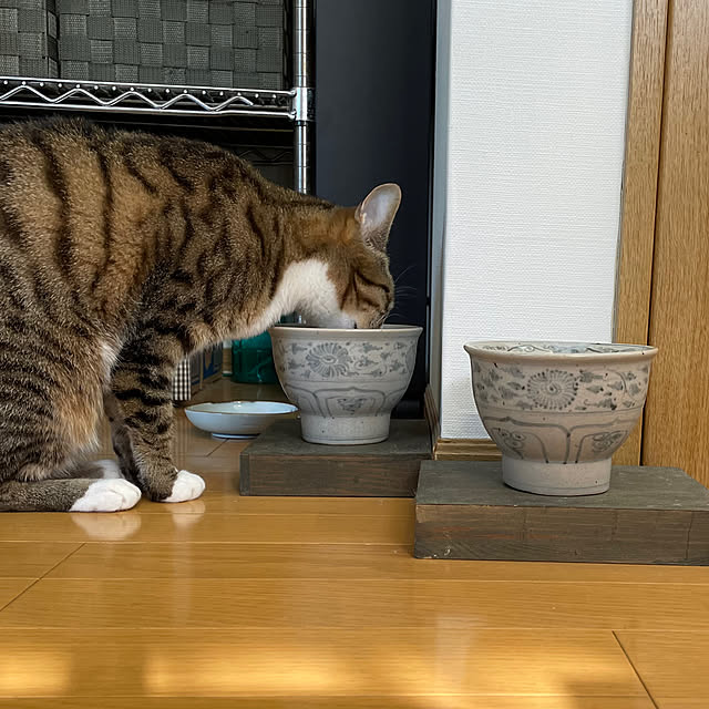 nobikoさんの部屋