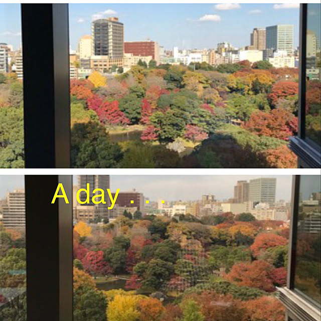 実例写真