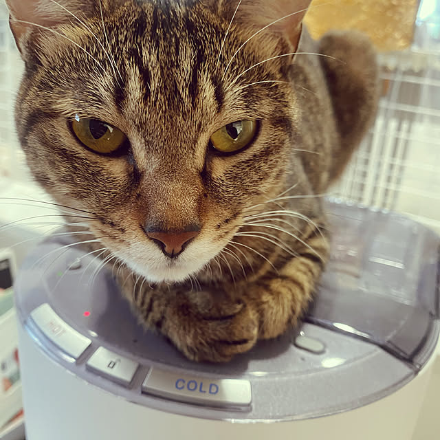 ar__arさんの実例写真