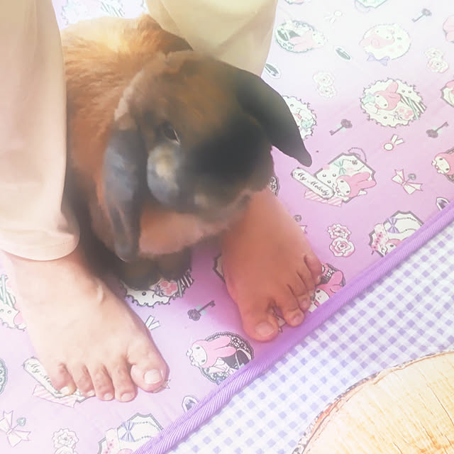 mariaさんの実例写真