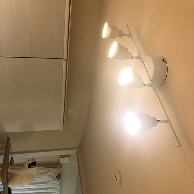 0liviaさんの部屋