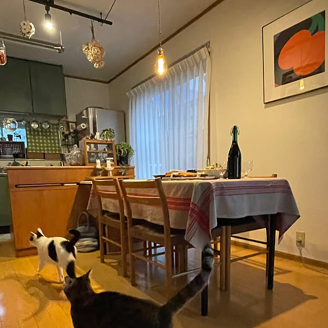 nobikoさんの部屋