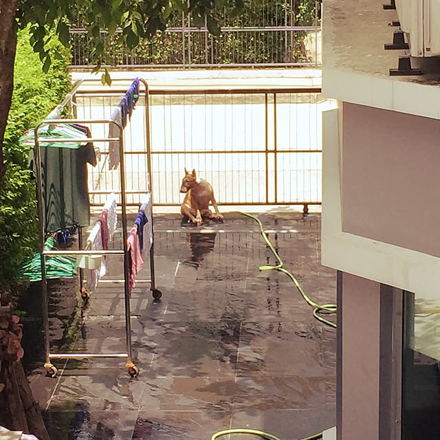 Thammaratさんの実例写真