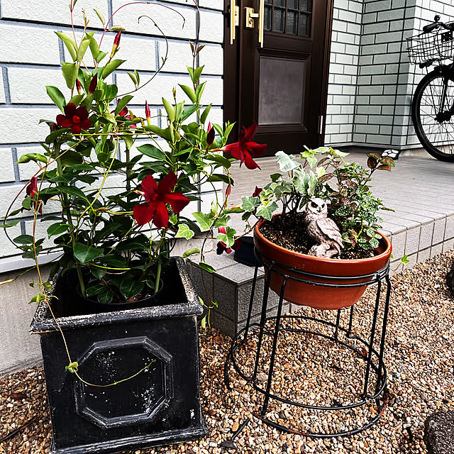 coopers01さんの部屋