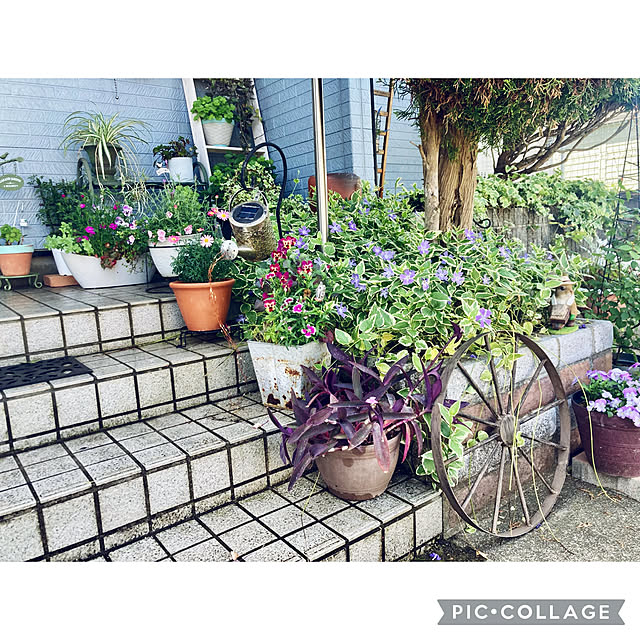 CoCo0617さんの部屋