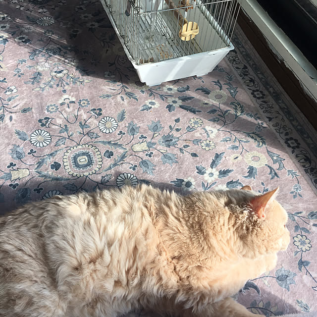 naokoさんの部屋